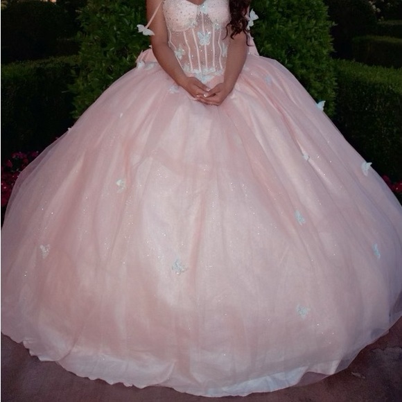 Sweetheart Sleeveless 3D Flowers Appliques Beaded Bow Knot Champagne Quinceanera Dress for Sweet 16 WQ1219